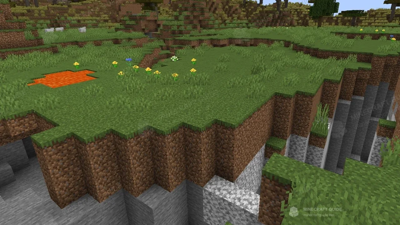A lava pool and a deep ravine beside a grassy area with flowers