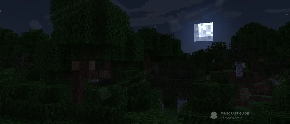 A dark Minecraft forest under moonlight